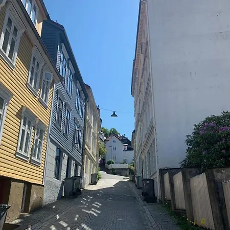 Great Apartment With Balcony Overlooking Bergen *